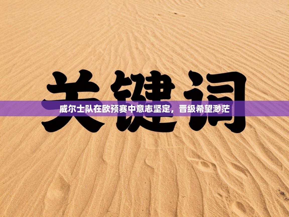 威尔士队在欧预赛中意志坚定，晋级希望渺茫  第1张