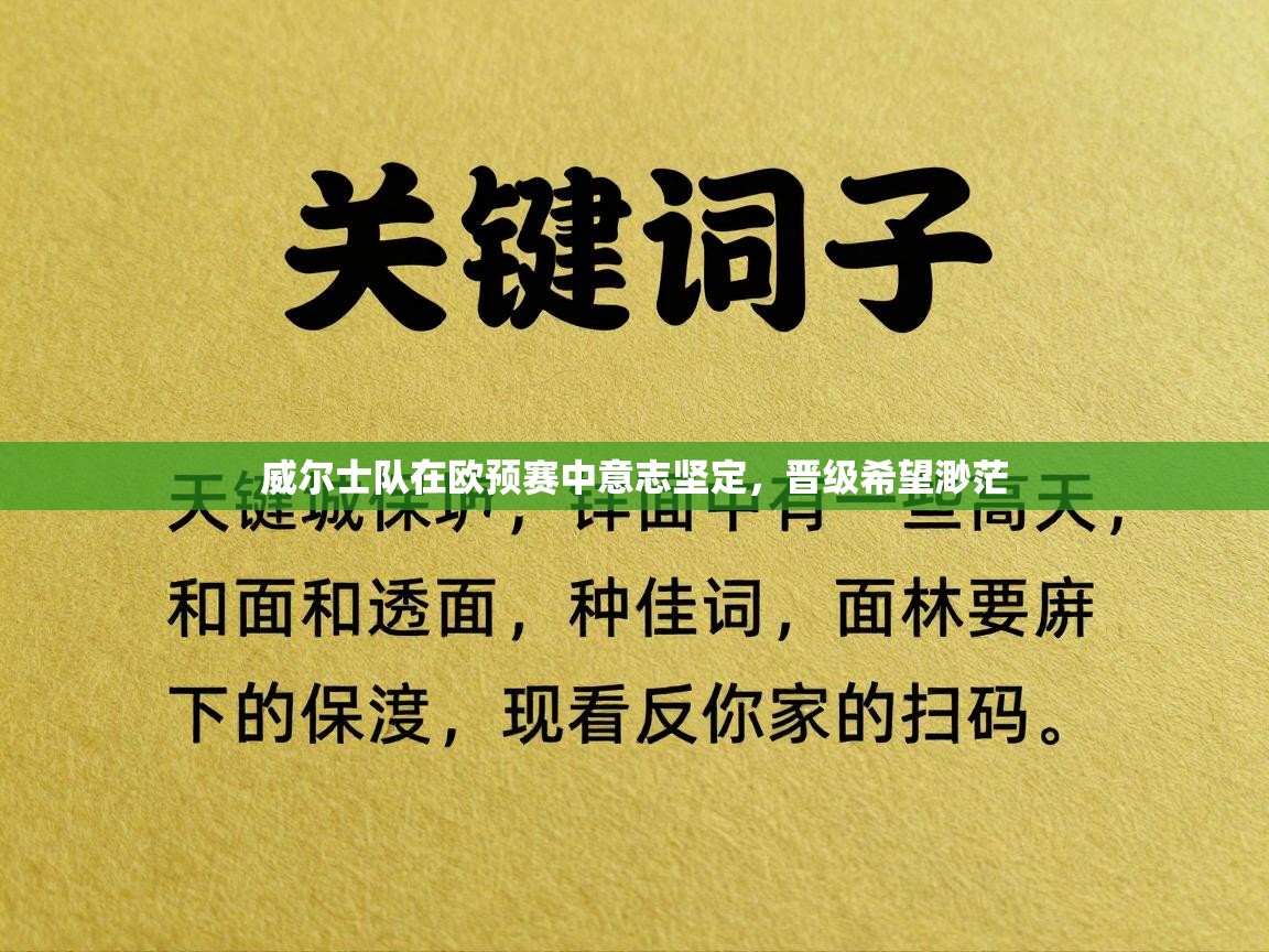 威尔士队在欧预赛中意志坚定，晋级希望渺茫  第2张